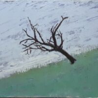 fineart | galerie m beck  | José de Quadros