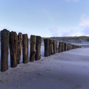 Sylt