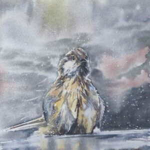 fineart | Ekaterina Dubbick | Meine Art das Leben zu sehen