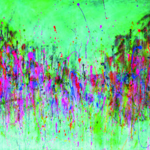 fineart | Gruppenausstellung | NATUR – Das Gestaltbare und das Unveränderliche