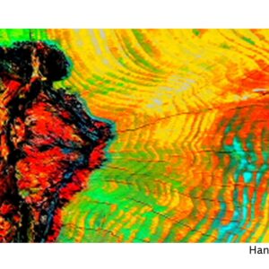 2025_künstlerkarte-voltmer-döbrich 2025_künstlerkarte-voltmer-döbrich
