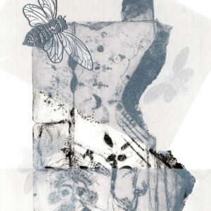 EXP_RAD_29_p2_250612