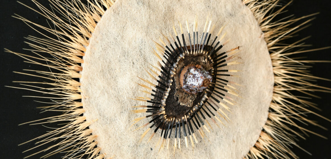 Petra Jung_ot_verschiedene Materialien_30 x 30 cm_2025