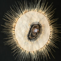 Petra Jung_ot_verschiedene Materialien_30 x 30 cm_2025