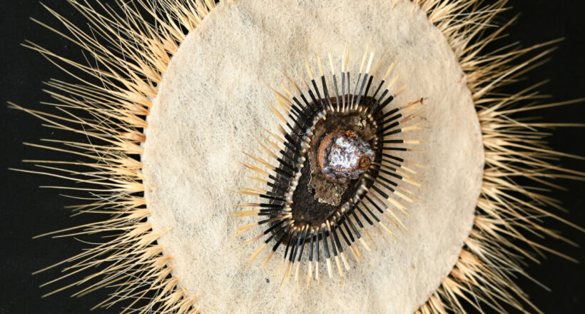 Petra Jung_ot_verschiedene Materialien_30 x 30 cm_2025