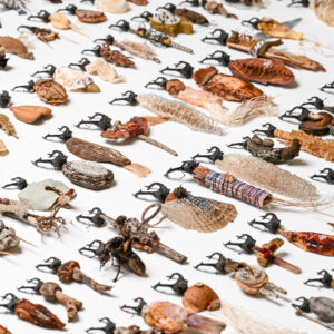 PetraJung_ot_verschiedeneMaterialien_flexibleGroesse_2025 PetraJung_ot_verschiedeneMaterialien_flexibleGroesse_2025