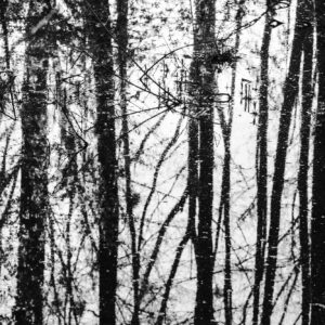 fineart | galerie m beck | Gruppenausstellung