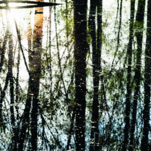 fineart | galerie m beck | Gruppenausstellung